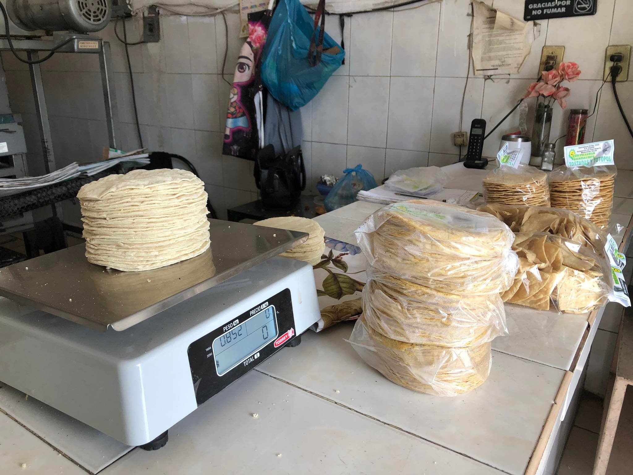 “Si no aumenta tortilla vamos a desaparecer”