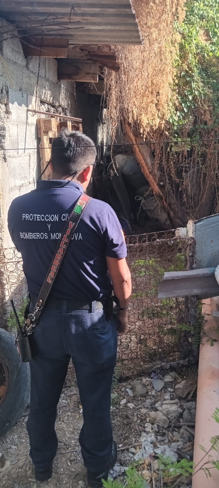 Alarma la presencia de jabalí en la Hipódromo