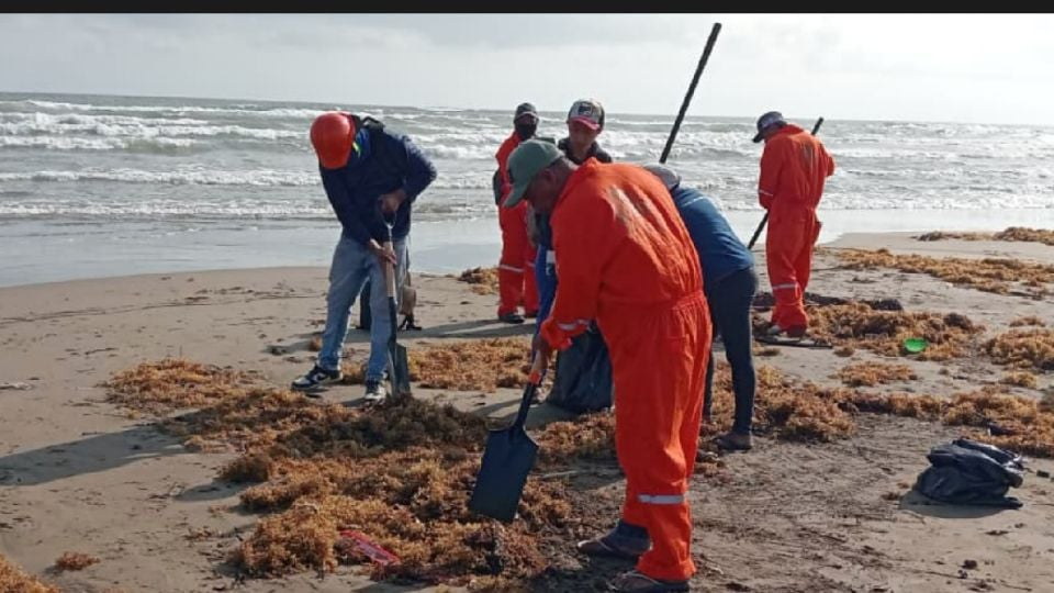 Sigue la contaminación por hidrocarburo en playas de Veracruz y ahora se le suma el sargazo