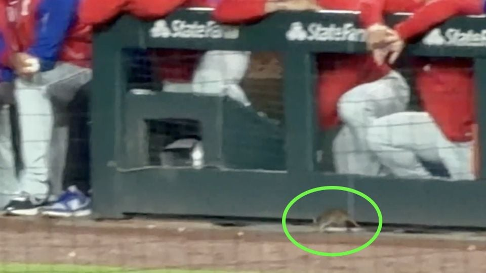 ¡Tremendo susto! Una rata se pasea por la cancha en partido de MLB en Chicago y sorprende a jugadores y aficionados